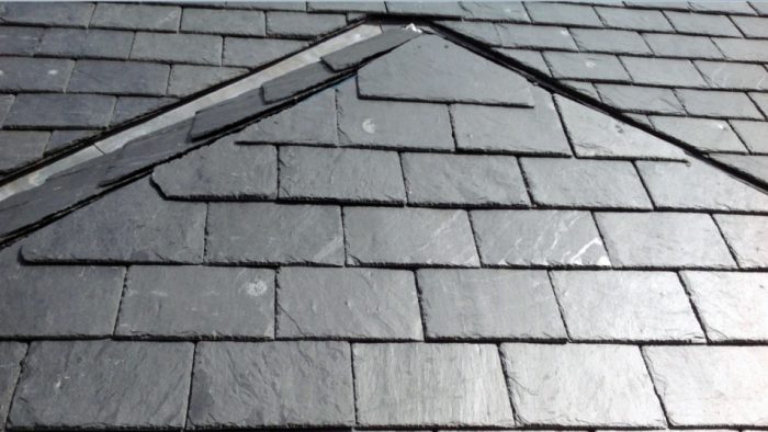 Roof with Rosettas - Calcium Carbonate Markings on Roofing Slate