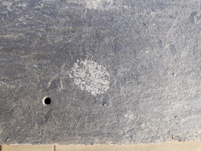 Calcium Carbonate Rosetta close up Markings on Roofing Slates